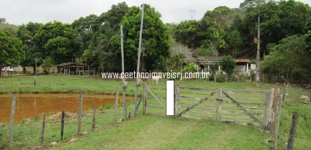 Fazenda / Sítio / Chácara com 3 Quartos à venda, 250000m² no Papucaia, Cachoeiras de Macacu