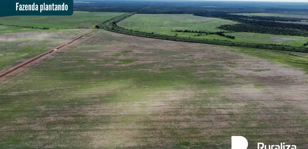 Fazenda / Sítio / Chácara à venda, 4244m² no , Pium