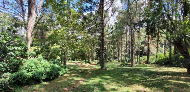 Fazenda / Sítio / Chácara com 2 Quartos à venda, 20500m² no , Mairinque
