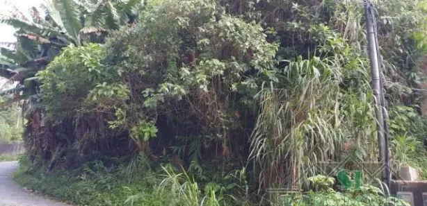 Terreno / Lote / Condomínio à venda, 436m² no Quitandinha, Petrópolis