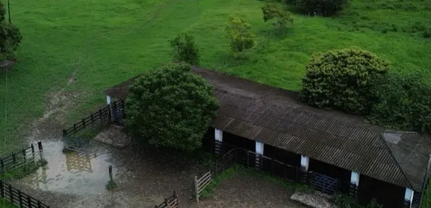 Fazenda / Sítio / Chácara à venda, 2265000m² no , São José da Laje