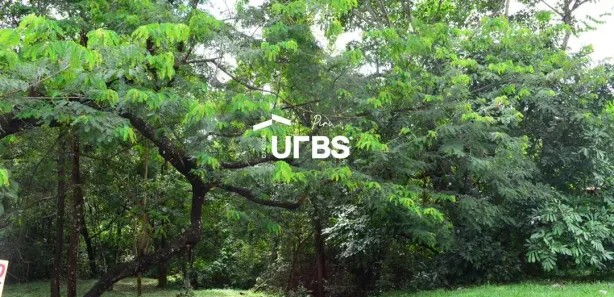 Terreno / Lote / Condomínio à venda, 379m² no Pirenópolis, Pirenópolis