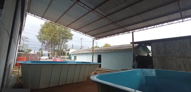 Galpão / Depósito / Armazém com 1 Quarto à venda, 60m² no Lageado, Porto Alegre