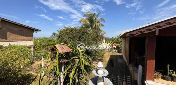 Fazenda / Sítio / Chácara com 5 Quartos à venda, 440m² no , Ipeúna