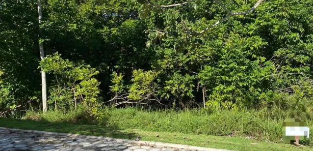 Terreno / Lote / Condomínio à venda, 586m² no Guarajuba (Monte Gordo), Camaçari