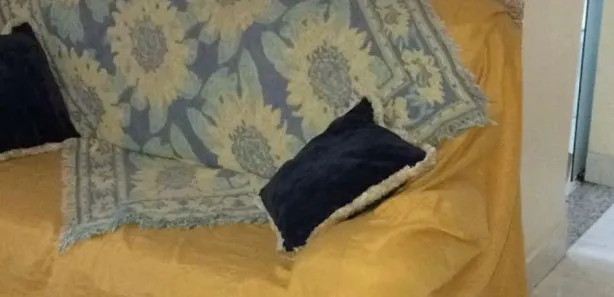 Casa com 1 Quarto para alugar, 40m² no Ilha dos Araújos, Governador Valadares