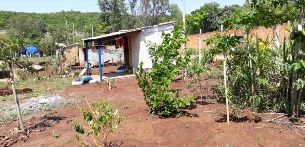 Fazenda / Sítio / Chácara com 1 Quarto à venda, 2000m² no Zona Rural, Ibiporã