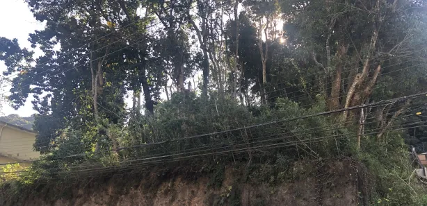 Terreno / Lote / Condomínio à venda, 6698m² no Castelanea, Petrópolis