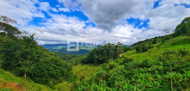 Fazenda / Sítio / Chácara à venda, 8000m² no , Águas Mornas