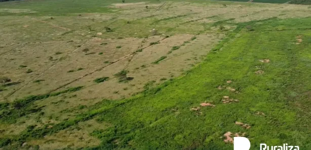 Fazenda / Sítio / Chácara à venda, 503m² no , Pium