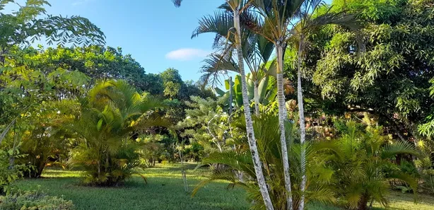 Casa com 3 Quartos à venda, 5700m² no Barra do Pojuca (Monte Gordo), Camaçari