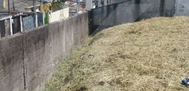 Terreno / Lote / Condomínio à venda, 1000m² no Vila Mazzei, São Paulo
