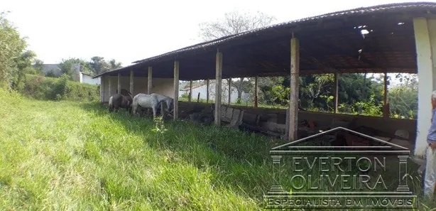 Galpão / Depósito / Armazém para alugar, 500m² no Jardim Maria Amélia, Jacareí