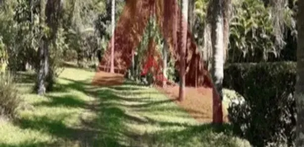 Fazenda / Sítio / Chácara com 5 Quartos à venda, 33000m² no , Bom Jesus dos Perdões