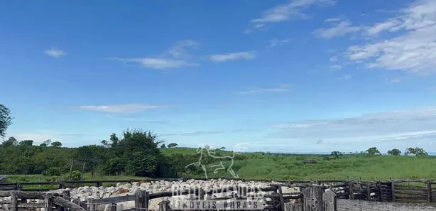 Fazenda / Sítio / Chácara à venda, 17230400m² no , Paranã