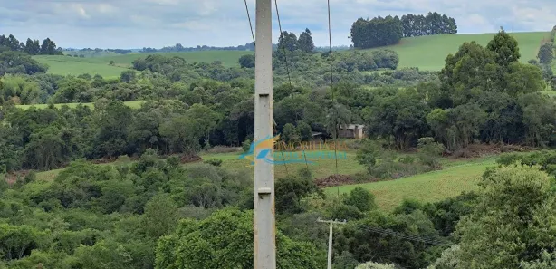 Fazenda / Sítio / Chácara à venda, 242000m² no , Guaraniaçu