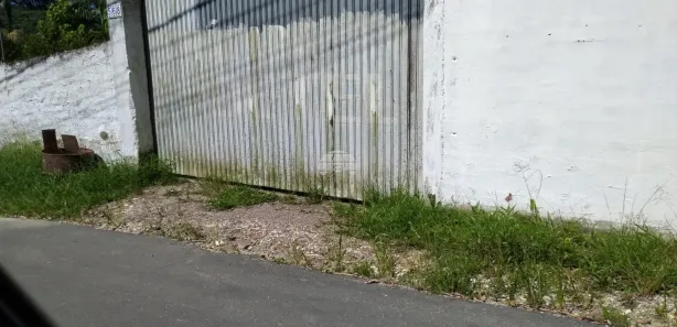 Fazenda / Sítio / Chácara com 5 Quartos à venda, 192m² no , Antonina