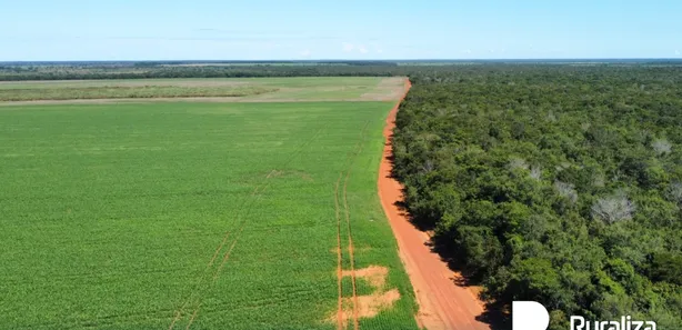 Fazenda / Sítio / Chácara à venda, 4244m² no , Pium