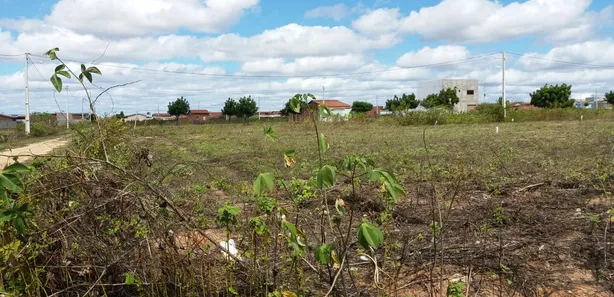 Terreno / Lote / Condomínio à venda, 800m² no Presidente Costa e Silva, Mossoró