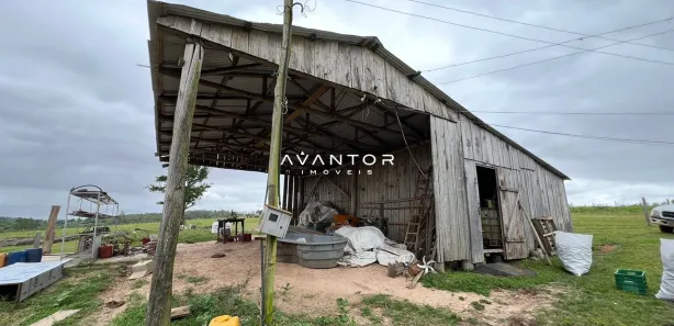 Fazenda / Sítio / Chácara com 3 Quartos à venda, 150m² no Juscelino Kubitschek, Santa Maria