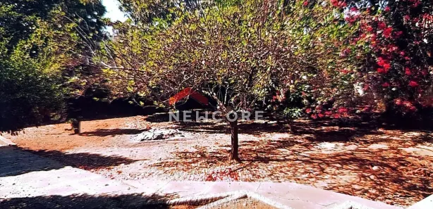 Casa com 4 Quartos à venda, 140m² no Felipe Cláudio de Sales, Pedro Leopoldo