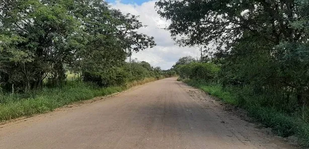 Fazenda / Sítio / Chácara com 3 Quartos à venda, 100m² no Alpes Suiços, Gravatá