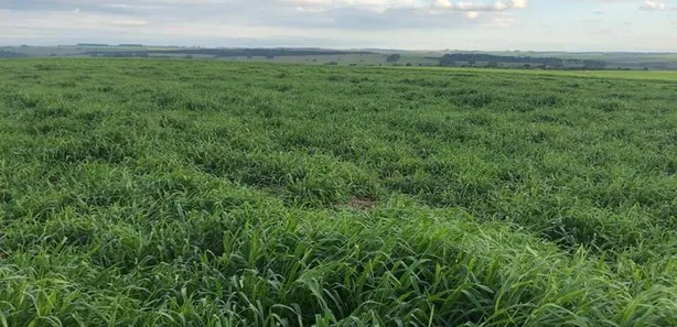 Fazenda / Sítio / Chácara à venda, 28320000m² no , Pompéia