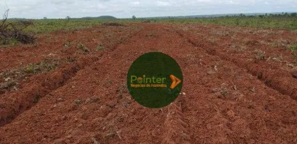 Fazenda / Sítio / Chácara à venda, 17151750m² no , Ponte Alta do Tocantins