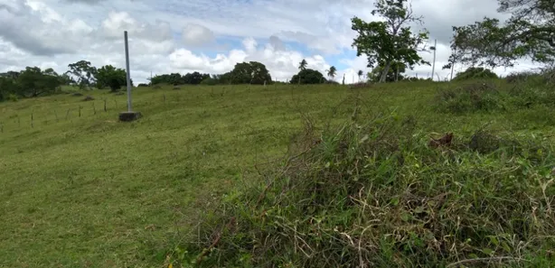 Fazenda / Sítio / Chácara com 2 Quartos à venda, 78408m² no Centro, Muritiba