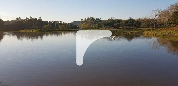 Fazenda / Sítio / Chácara com 4 Quartos à venda, 350m² no , Leópolis