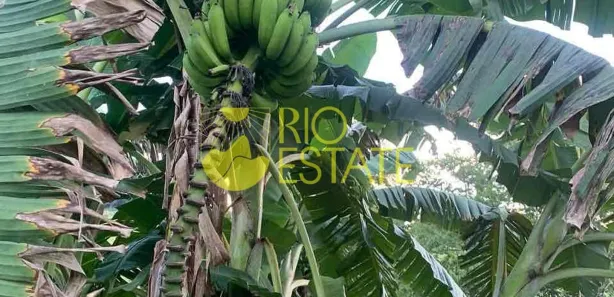 Fazenda / Sítio / Chácara com 1 Quarto à venda, 2600m² no Campo Bom, Barra do Piraí