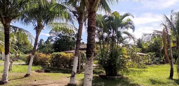 Terreno / Lote / Condomínio à venda, 150m² no Loteamento Bosque Ponta da Areia, Itaparica