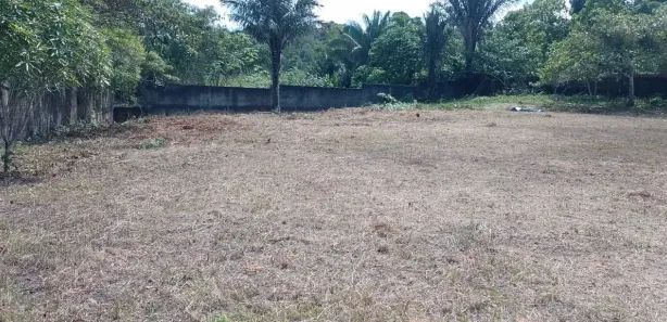 Terreno / Lote Comercial à venda, 2000m² no , Manaus