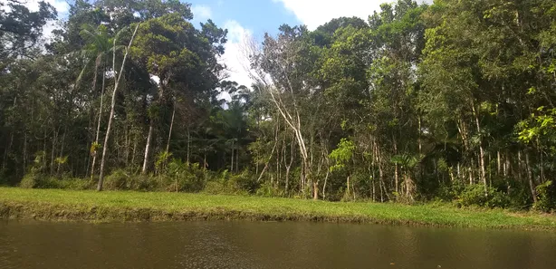 Terreno / Lote / Condomínio à venda, 1783m² no Vila da Gloria, São Francisco do Sul