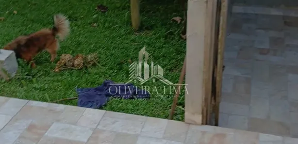 Casa com 3 Quartos à venda, 480m² no Jardim Eugenia Maria, Campina Grande do Sul