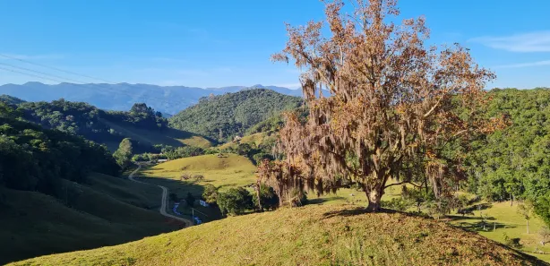 Fazenda / Sítio / Chácara à venda, 38000m² no , Águas Mornas