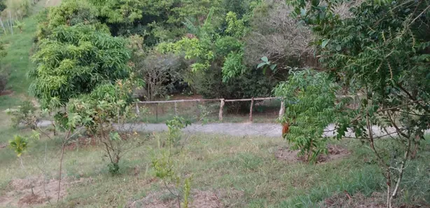 Fazenda / Sítio / Chácara com 2 Quartos à venda, 150m² no Gravatá Centro, Gravatá