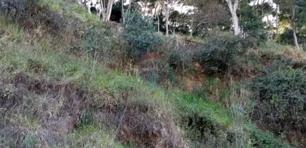 Terreno / Lote / Condomínio à venda, 417m² no Banquete, Bom Jardim