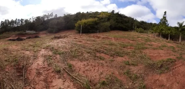 Fazenda / Sítio / Chácara com 1 Quarto à venda, 7900m² no Área Rural de Viçosa, Viçosa