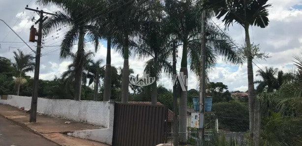 Fazenda / Sítio / Chácara com 4 Quartos à venda, 700m² no Chácaras Cambé Londrina, Cambé