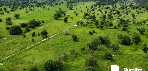 Fazenda / Sítio / Chácara à venda, 816m² no , Formoso do Araguaia