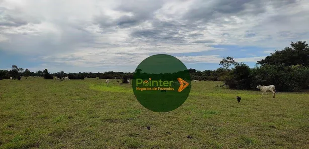 Fazenda / Sítio / Chácara à venda, 13552000m² no , Formoso do Araguaia