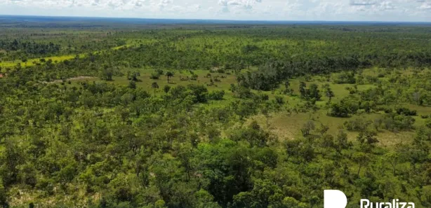 Fazenda / Sítio / Chácara à venda, 1684m² no , Rio Sono