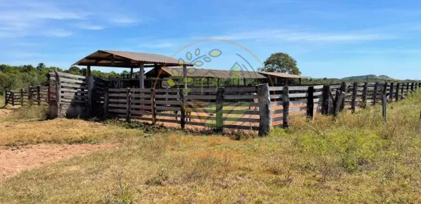 Fazenda / Sítio / Chácara com 3 Quartos à venda, 232m² no Setor Serrano, Paraíso do Tocantins