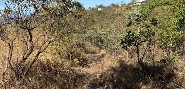 Fazenda / Sítio / Chácara com 3 Quartos à venda, 240m² no Núcleo Rural Lago Oeste, Brasília
