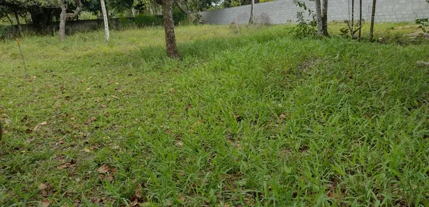 Terreno / Lote / Condomínio à venda, 896m² no Aldeia dos Camarás, Camaragibe