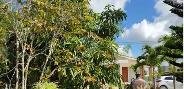Fazenda / Sítio / Chácara com 6 Quartos à venda, 300m² no Prado, Gravatá