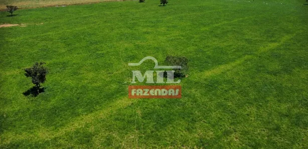 Fazenda / Sítio / Chácara à venda, 27646080m² no , Pium