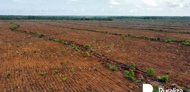Fazenda / Sítio / Chácara à venda, 832m² no , Cristalândia