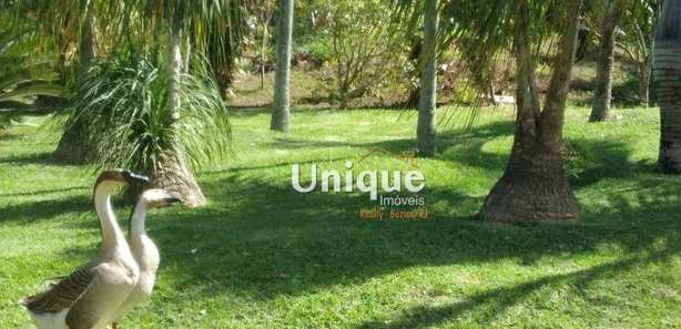 Fazenda / Sítio / Chácara com 1 Quarto à venda, 19580m² no Rasa, Armação dos Búzios